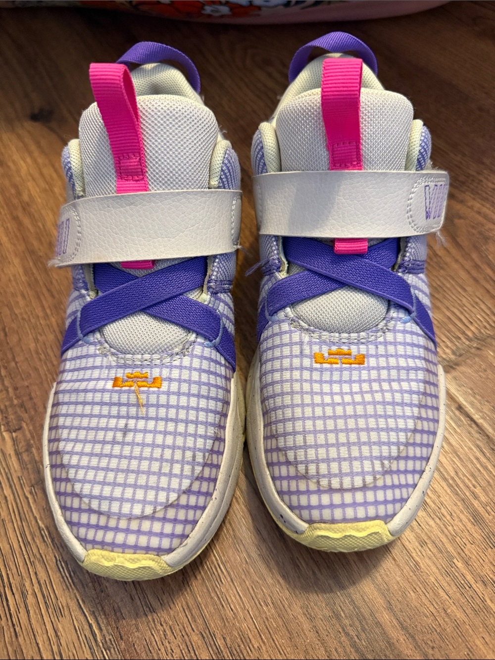 Nike Kids LeBron Basketball Shors